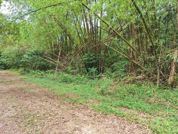 Sixth image of Sligoville Main Road in Sligoville, St. Catherine, Jamaica - property is For Sale