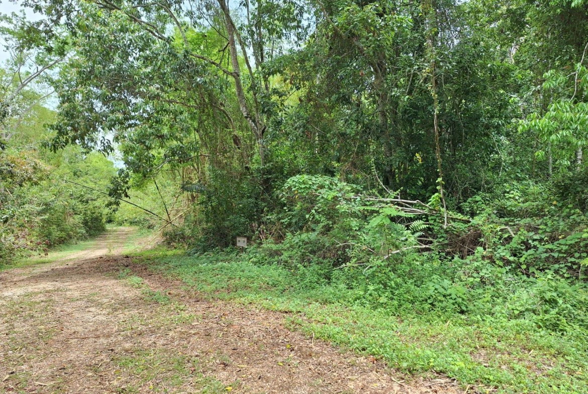 Seventh image of Sligoville Main Road in Sligoville, St. Catherine, Jamaica - property is For Sale
