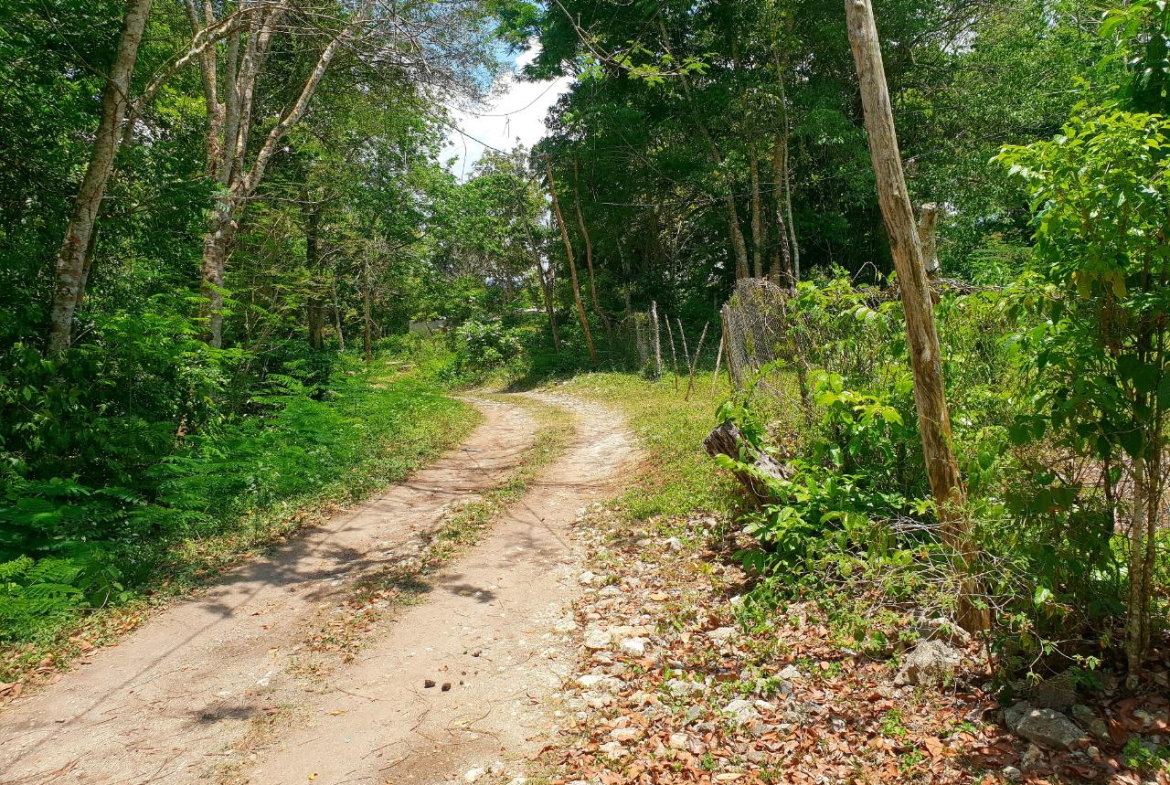 First image of Chatham, St. James in Adelphi Grove, St. James, Jamaica - property is For Sale