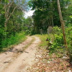 First image of Chatham, St. James in Adelphi Grove, St. James, Jamaica - property is For Sale