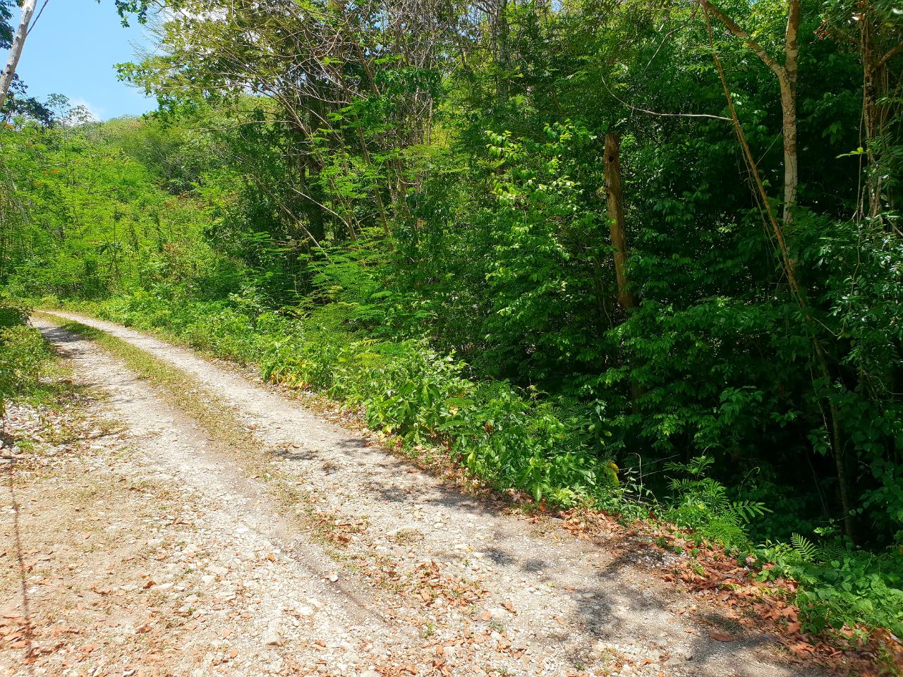 Third image of Chatham, St. James in Adelphi Grove, St. James, Jamaica - property is For Sale