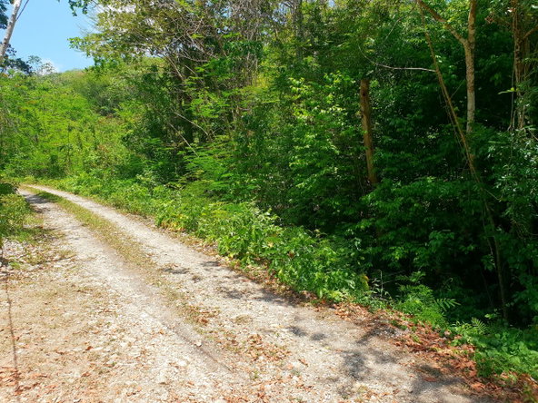 Third image of Chatham, St. James in Adelphi Grove, St. James, Jamaica - property is For Sale