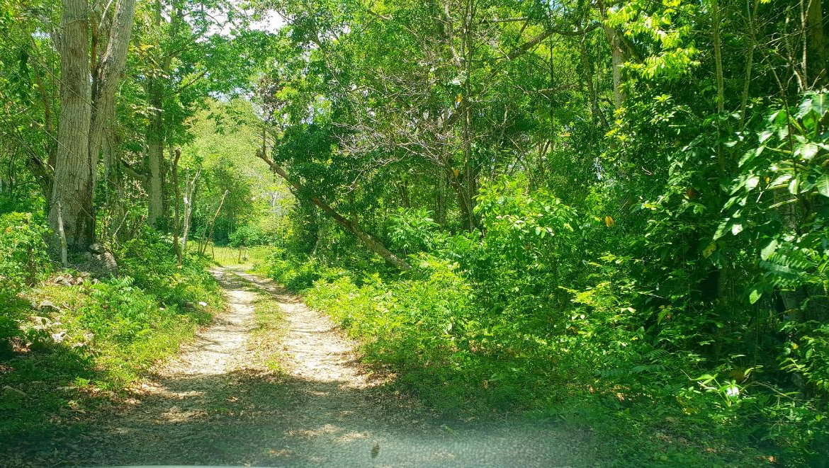 Fourth image of Chatham, St. James in Adelphi Grove, St. James, Jamaica - property is For Sale