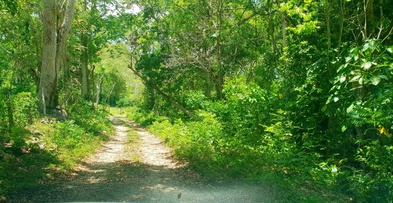 Fourth image of Chatham, St. James in Adelphi Grove, St. James, Jamaica - property is For Sale