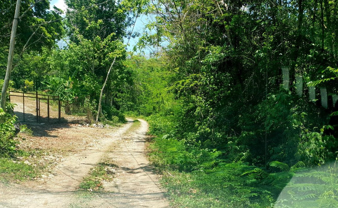 Fifth image of Chatham, St. James in Adelphi Grove, St. James, Jamaica - property is For Sale