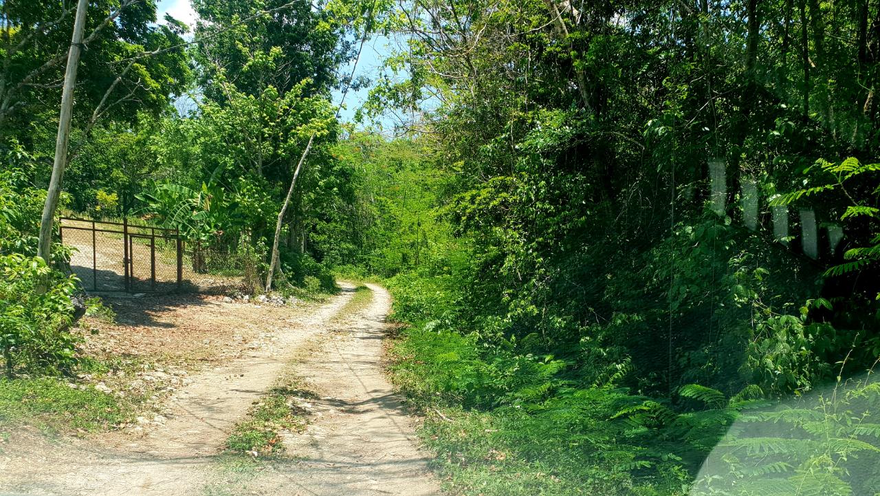 Fifth image of Chatham, St. James in Adelphi Grove, St. James, Jamaica - property is For Sale