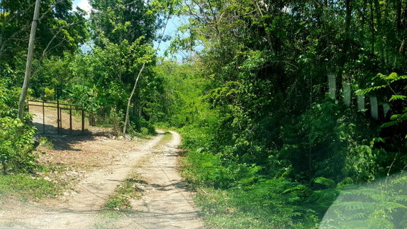 Fifth image of Chatham, St. James in Adelphi Grove, St. James, Jamaica - property is For Sale