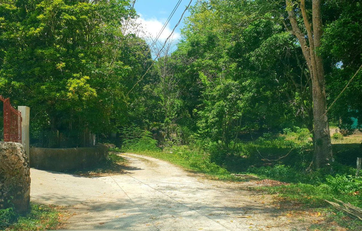Sixth image of Chatham, St. James in Adelphi Grove, St. James, Jamaica - property is For Sale