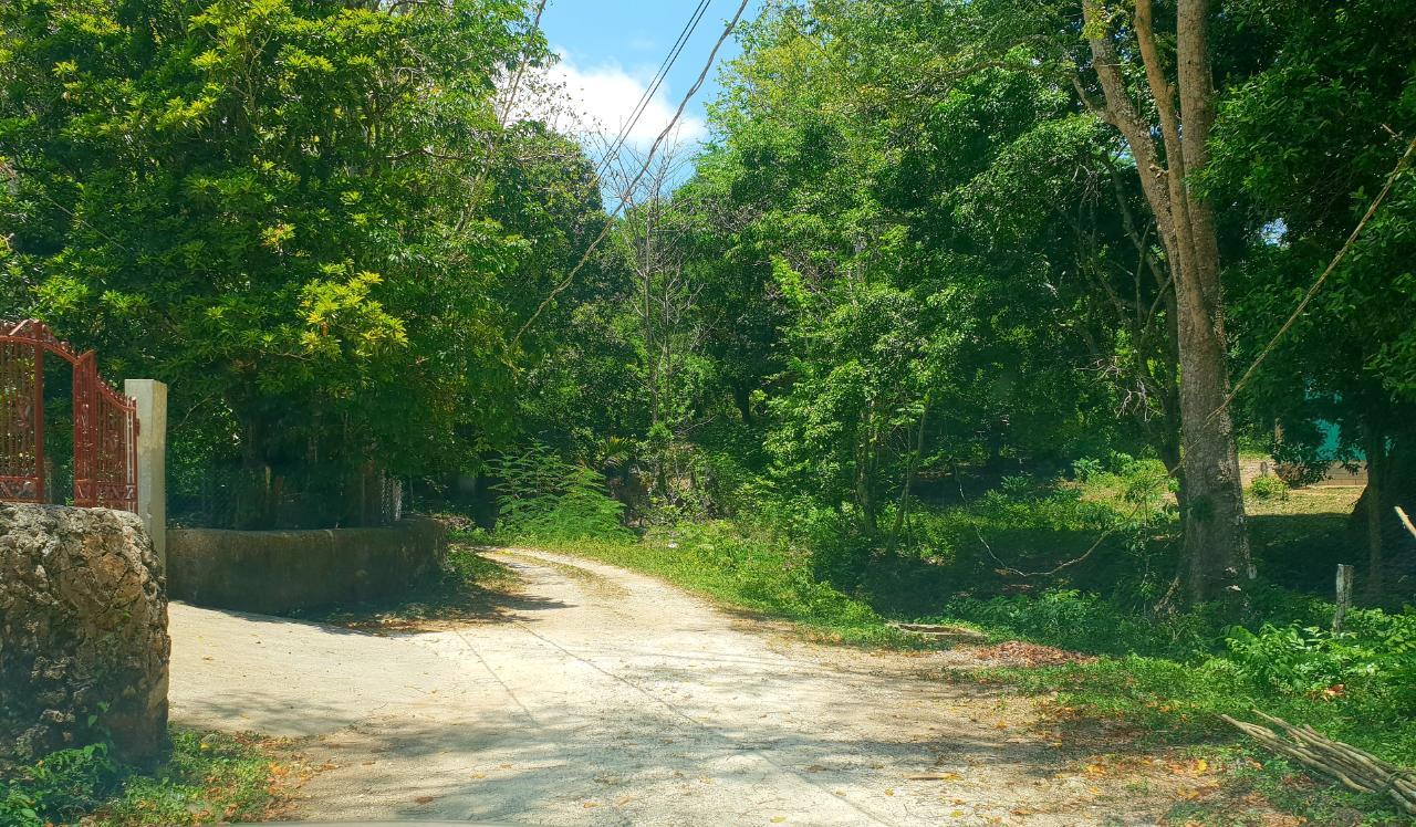 Sixth image of Chatham, St. James in Adelphi Grove, St. James, Jamaica - property is For Sale