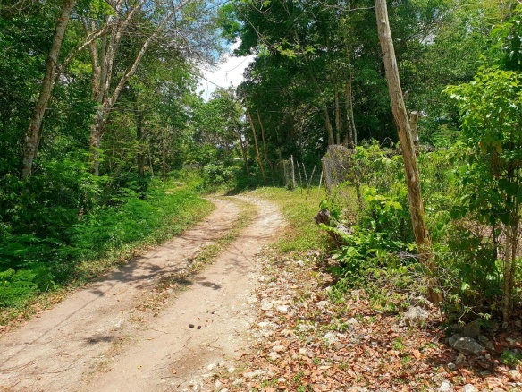 First image of Chatham, St. James in Adelphi Grove, St. James, Jamaica - property is For Sale