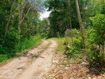 First image of Chatham, St. James in Adelphi Grove, St. James, Jamaica - property is For Sale