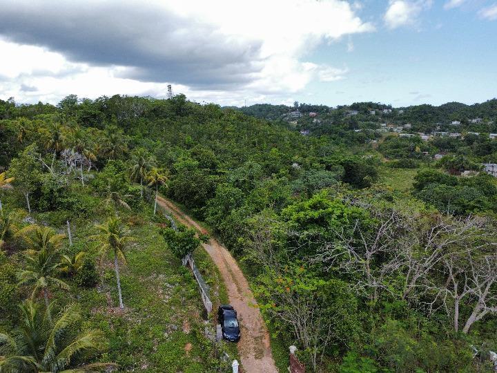Third image of Summer Hill in Browns Town, St. Ann, Jamaica - property is For Sale