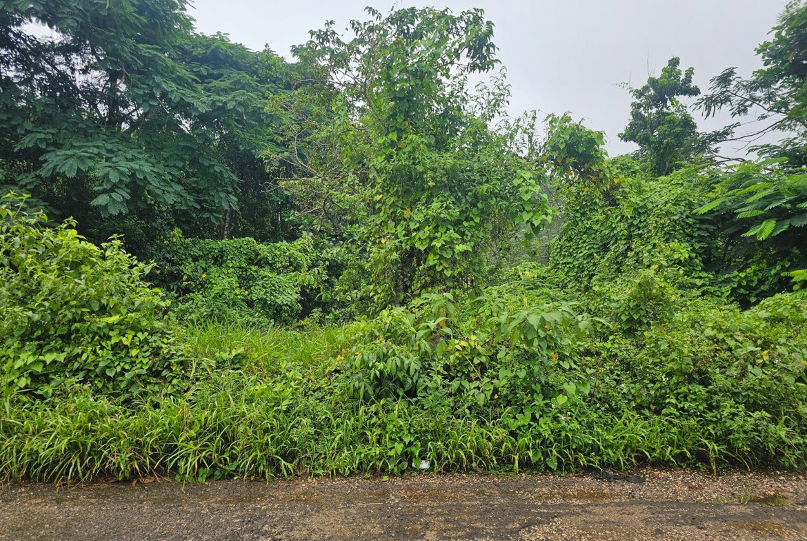 Fifth image of Summer Hill in Browns Town, St. Ann, Jamaica - property is For Sale