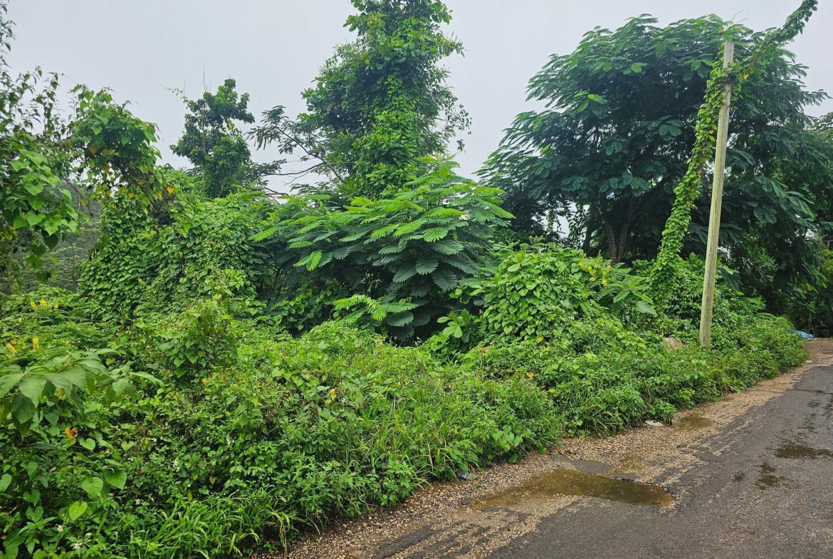 Sixth image of Summer Hill in Browns Town, St. Ann, Jamaica - property is For Sale