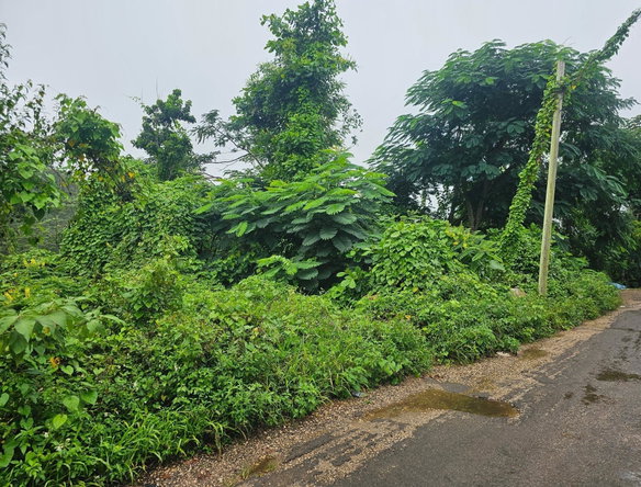 Sixth image of Summer Hill in Browns Town, St. Ann, Jamaica - property is For Sale