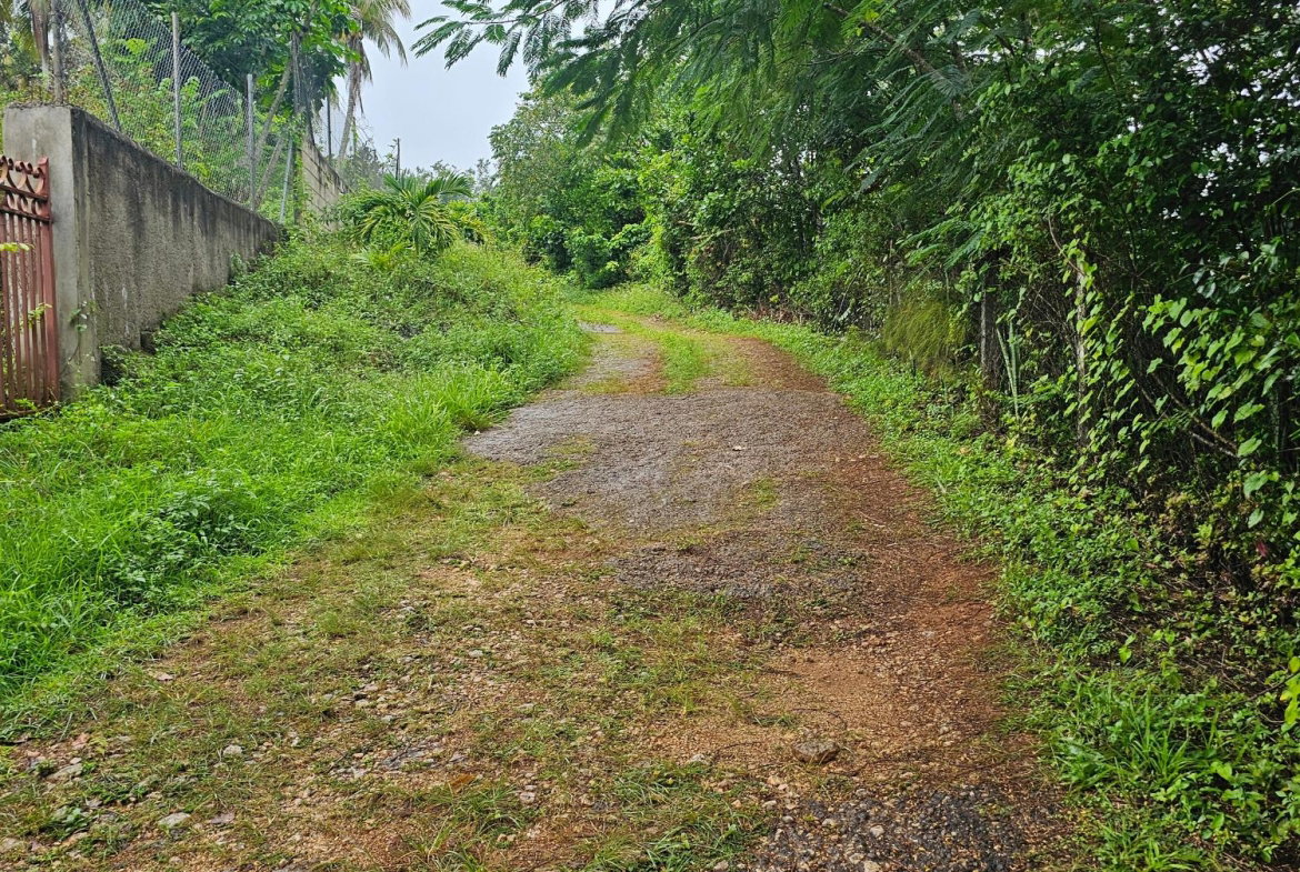 Ninth image of Summer Hill in Browns Town, St. Ann, Jamaica - property is For Sale