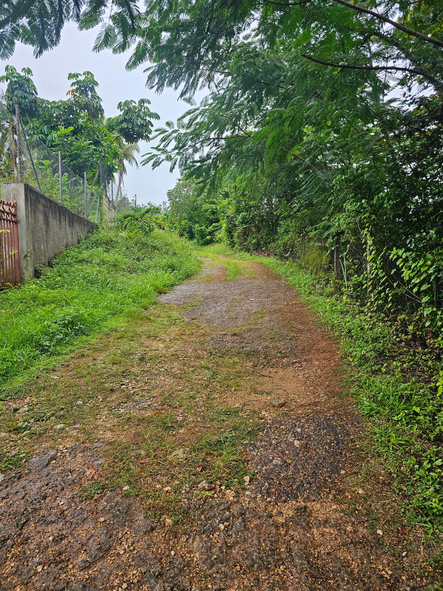 25.7-Acre-Gated-Residential-Development-Land-for-Sale-in-Summer-Hill-St.-Ann-Jamaica Ninth image of Summer Hill in Browns Town, St. Ann, Jamaica - property is For Sale