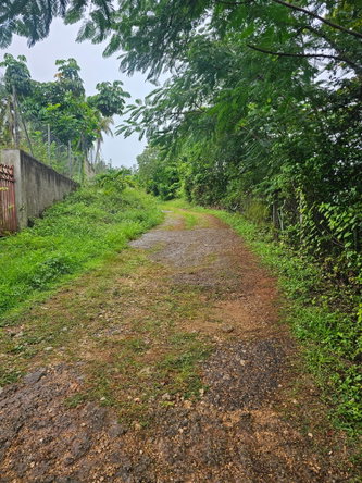 Ninth image of Summer Hill in Browns Town, St. Ann, Jamaica - property is For Sale