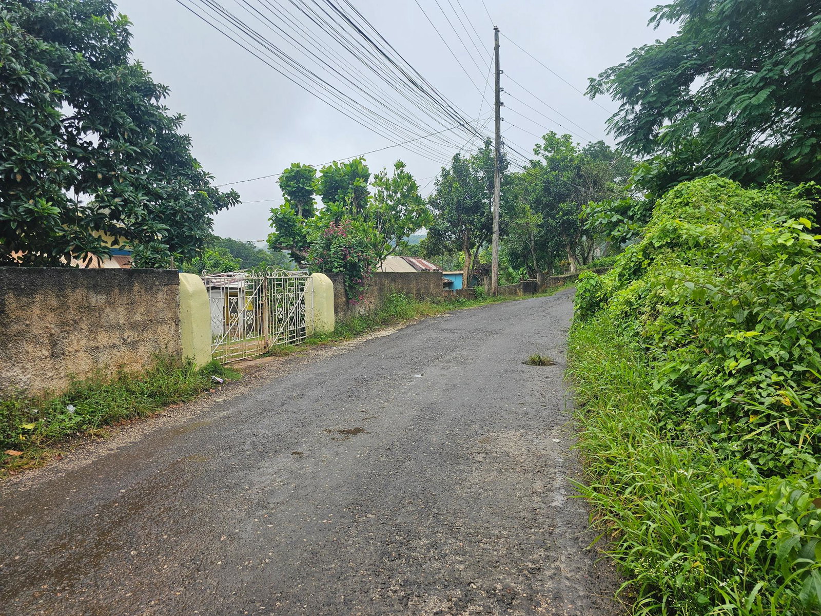 25.7-Acre-Gated-Residential-Development-Land-for-Sale-in-Summer-Hill-St.-Ann-Jamaica Tenth image of Summer Hill in Browns Town, St. Ann, Jamaica - property is For Sale
