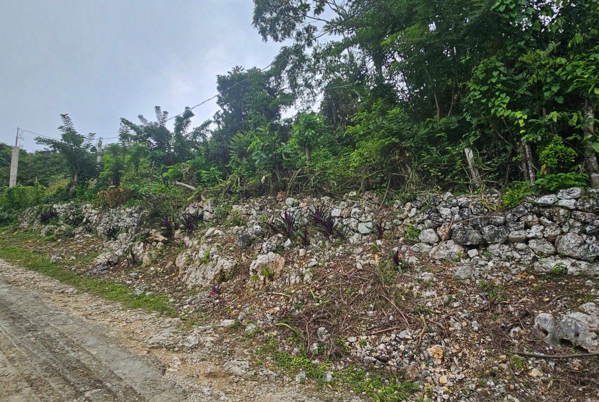 Second image of Matthew Hall in Browns Town, St. Ann, Jamaica - property is For Sale