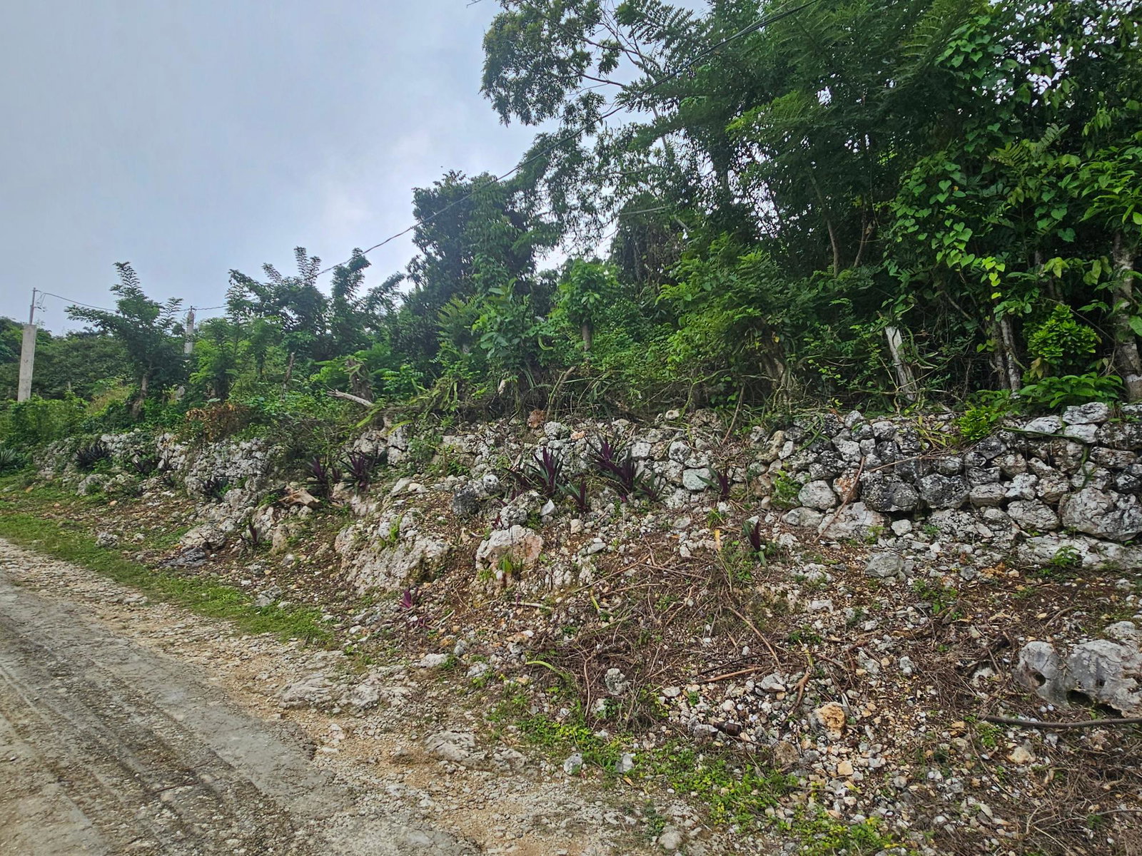 28-Acres-of-Residential-Development-Land-for-Sale-in-Shawberry-St.-Ann-Jamaica Second image of Matthew Hall in Browns Town, St. Ann, Jamaica - property is For Sale