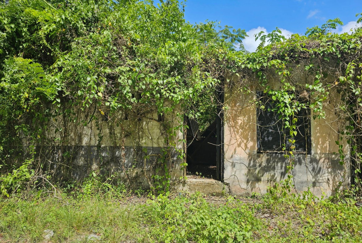 Eleventh image of Matthew Hall in Browns Town, St. Ann, Jamaica - property is For Sale