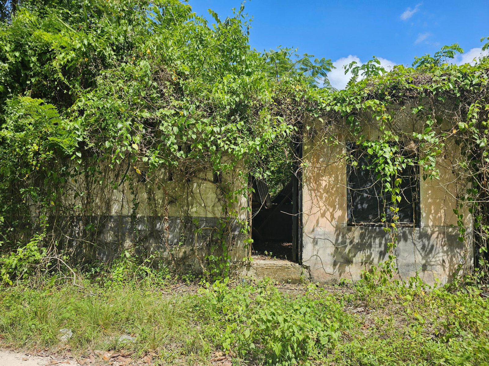 28-Acres-of-Residential-Development-Land-for-Sale-in-Shawberry-St.-Ann-Jamaica Eleventh image of Matthew Hall in Browns Town, St. Ann, Jamaica - property is For Sale