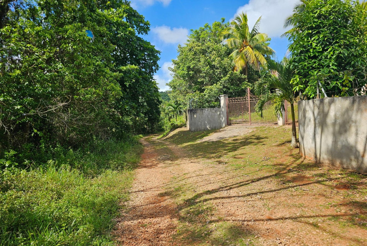 Twelfth image of Matthew Hall in Browns Town, St. Ann, Jamaica - property is For Sale