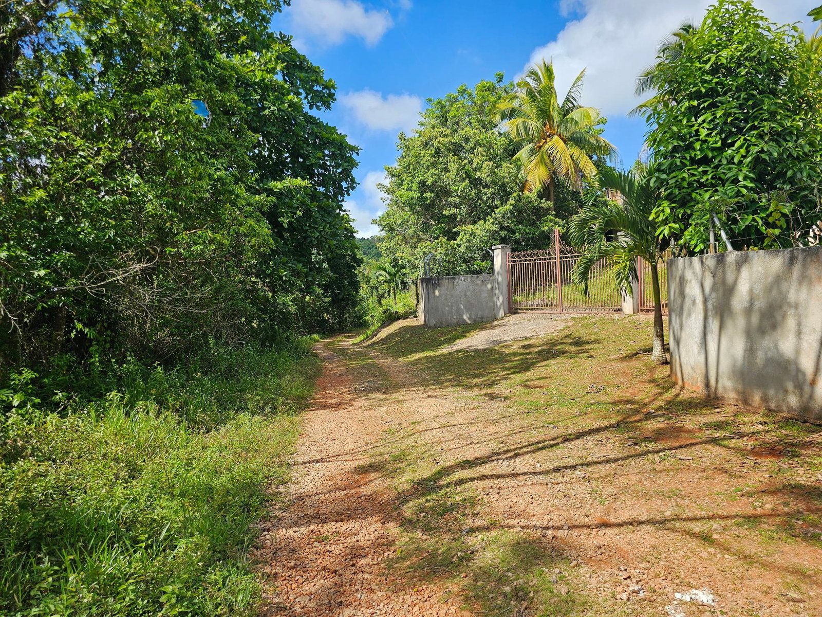 28-Acres-of-Residential-Development-Land-for-Sale-in-Shawberry-St.-Ann-Jamaica Twelfth image of Matthew Hall in Browns Town, St. Ann, Jamaica - property is For Sale