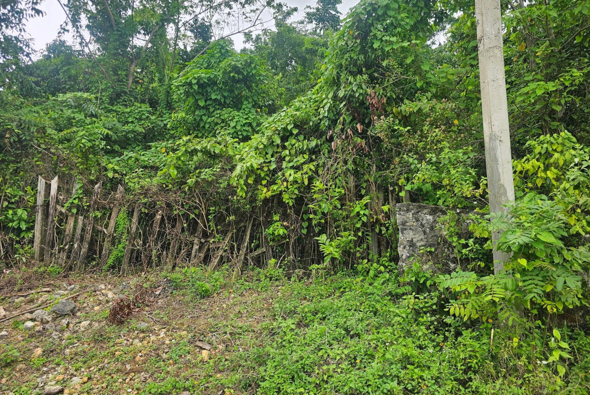 First image of Matthew Hall in Browns Town, St. Ann, Jamaica - property is For Sale
