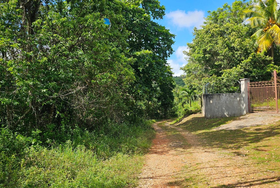 Sixteenth image of Matthew Hall in Browns Town, St. Ann, Jamaica - property is For Sale