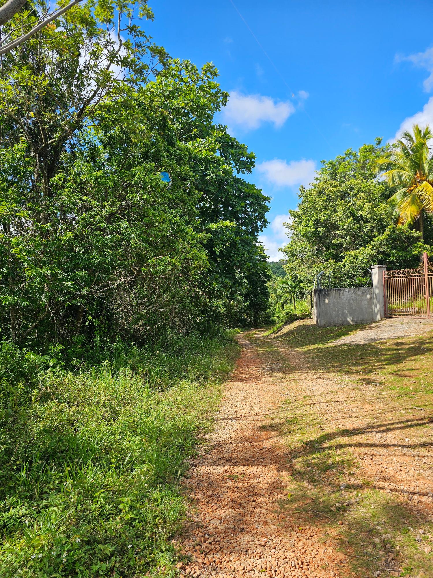 28-Acres-of-Residential-Development-Land-for-Sale-in-Shawberry-St.-Ann-Jamaica Sixteenth image of Matthew Hall in Browns Town, St. Ann, Jamaica - property is For Sale