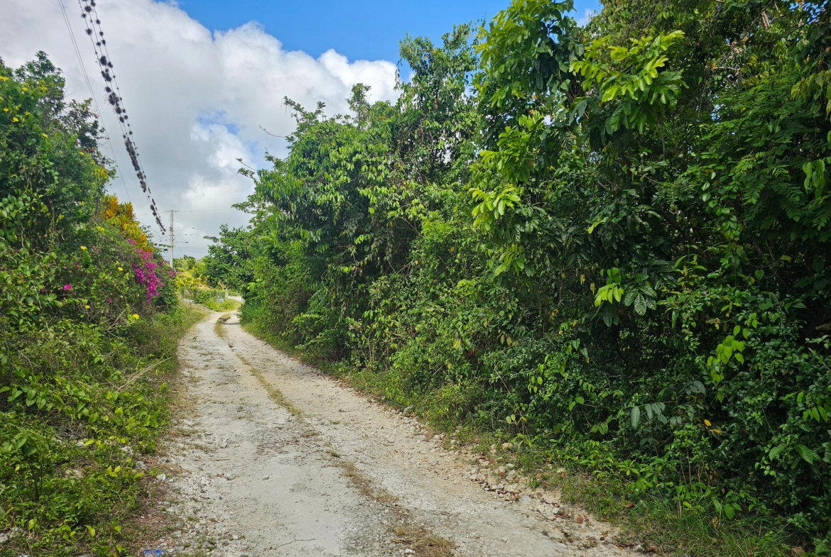 Seventeenth image of Matthew Hall in Browns Town, St. Ann, Jamaica - property is For Sale