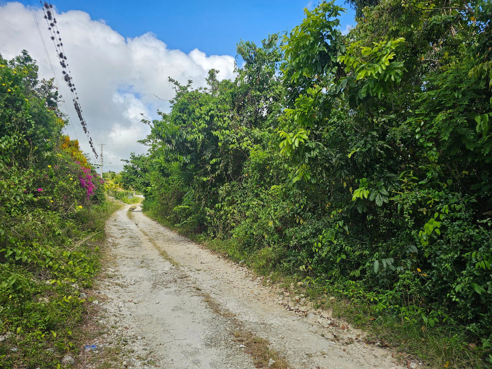 28-Acres-of-Residential-Development-Land-for-Sale-in-Shawberry-St.-Ann-Jamaica Seventeenth image of Matthew Hall in Browns Town, St. Ann, Jamaica - property is For Sale