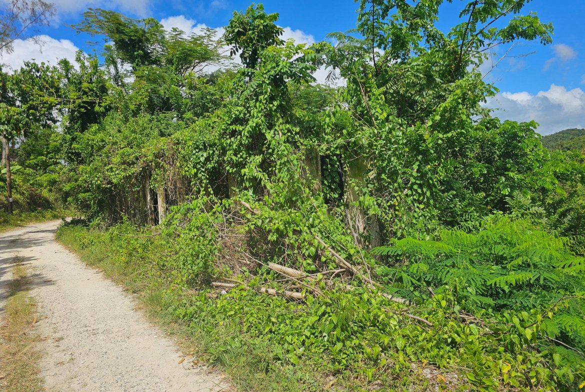 Eighteenth image of Matthew Hall in Browns Town, St. Ann, Jamaica - property is For Sale