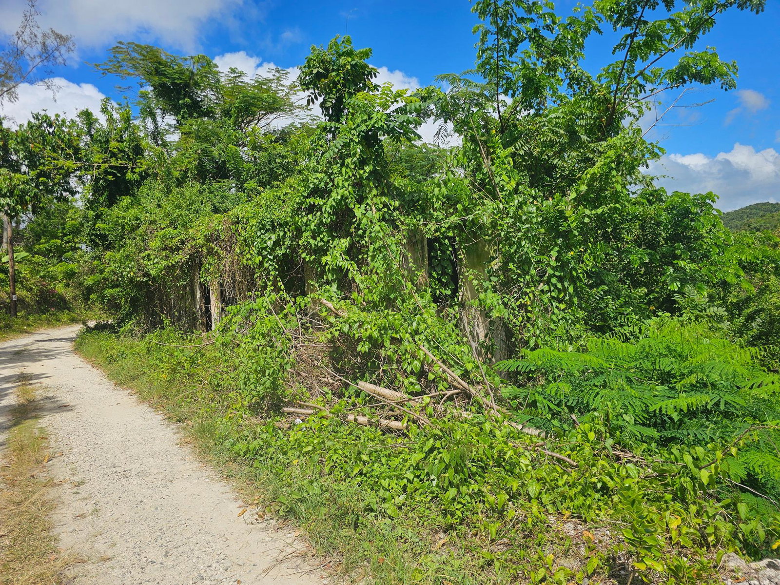 28-Acres-of-Residential-Development-Land-for-Sale-in-Shawberry-St.-Ann-Jamaica Eighteenth image of Matthew Hall in Browns Town, St. Ann, Jamaica - property is For Sale