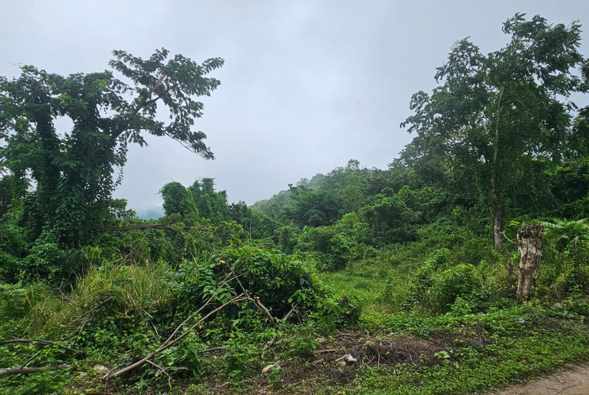 Third image of Matthew Hall in Browns Town, St. Ann, Jamaica - property is For Sale