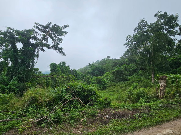 Third image of Matthew Hall in Browns Town, St. Ann, Jamaica - property is For Sale