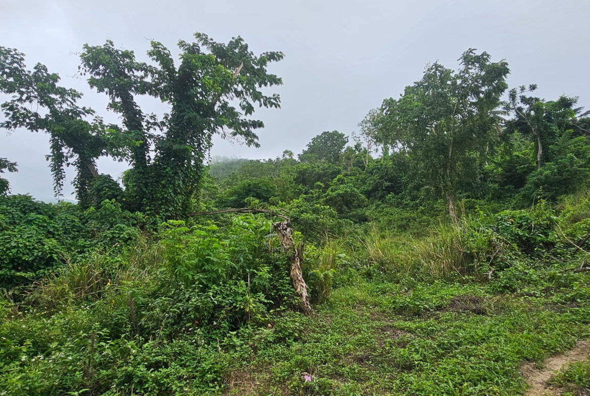 Fourth image of Matthew Hall in Browns Town, St. Ann, Jamaica - property is For Sale