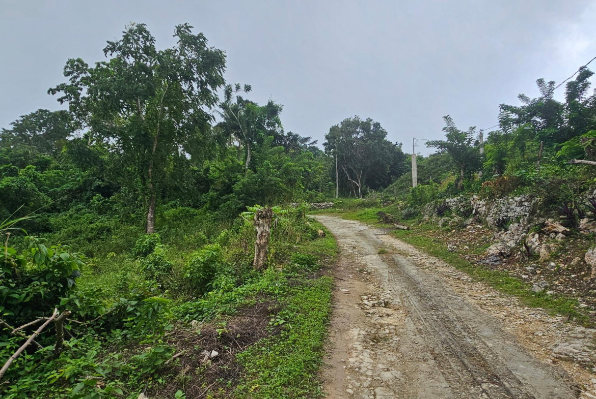 Fifth image of Matthew Hall in Browns Town, St. Ann, Jamaica - property is For Sale