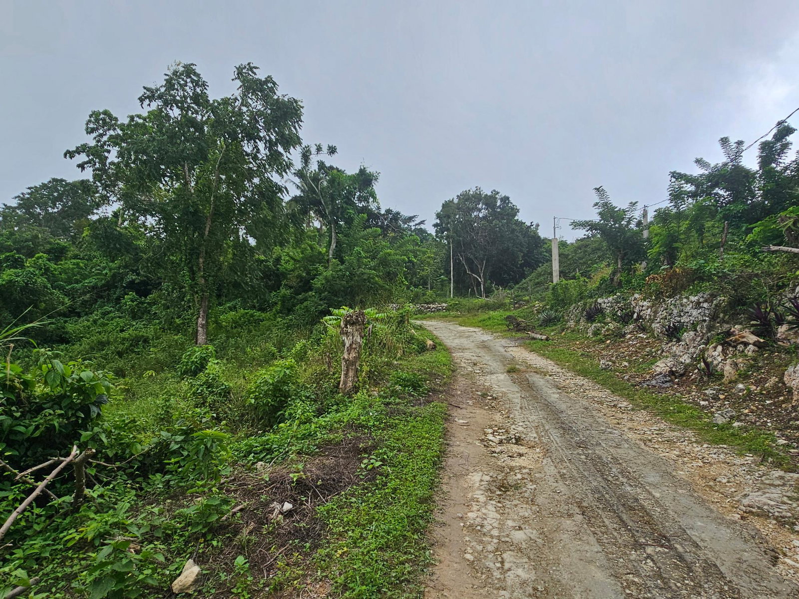 28-Acres-of-Residential-Development-Land-for-Sale-in-Shawberry-St.-Ann-Jamaica Fifth image of Matthew Hall in Browns Town, St. Ann, Jamaica - property is For Sale