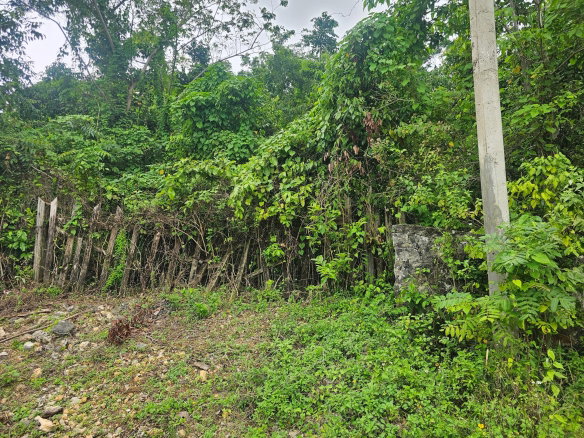 First image of Matthew Hall in Browns Town, St. Ann, Jamaica - property is For Sale