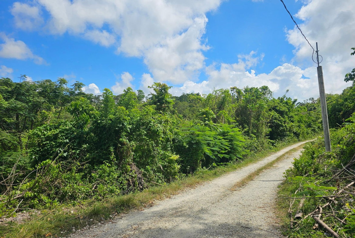 Seventh image of Matthew Hall in Browns Town, St. Ann, Jamaica - property is For Sale