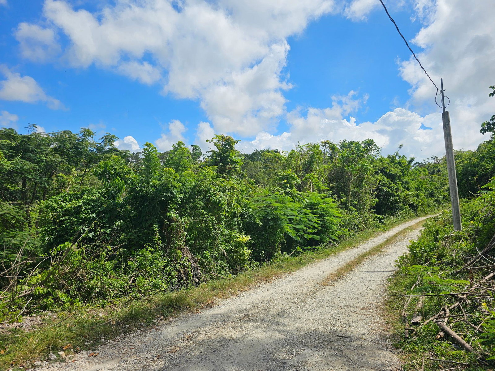 28-Acres-of-Residential-Development-Land-for-Sale-in-Shawberry-St.-Ann-Jamaica Seventh image of Matthew Hall in Browns Town, St. Ann, Jamaica - property is For Sale