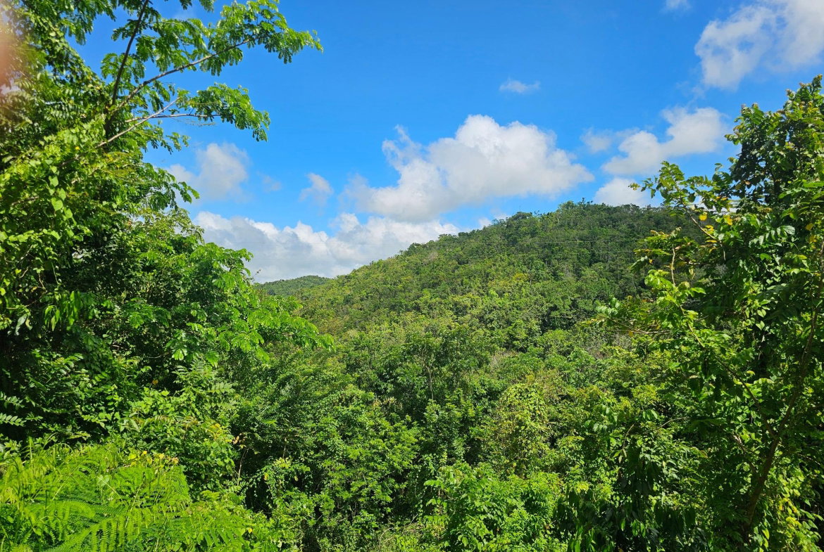 Ninth image of Matthew Hall in Browns Town, St. Ann, Jamaica - property is For Sale