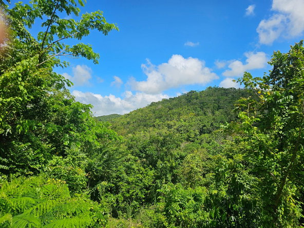 Ninth image of Matthew Hall in Browns Town, St. Ann, Jamaica - property is For Sale