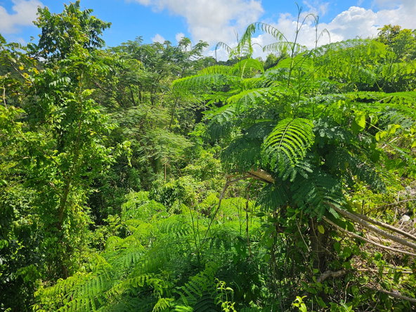 Tenth image of Matthew Hall in Browns Town, St. Ann, Jamaica - property is For Sale