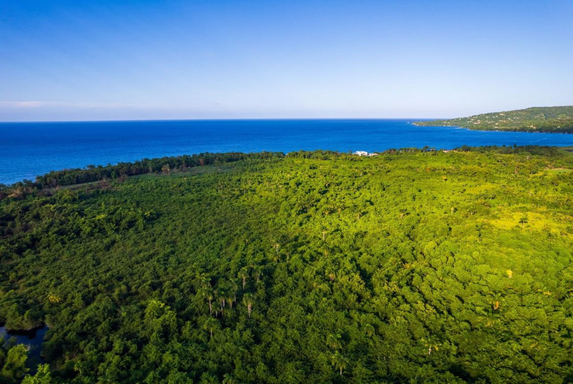 Eighth image of st Margaret's Bay in St. Margaret's Bay, Portland, Jamaica - property is For Sale