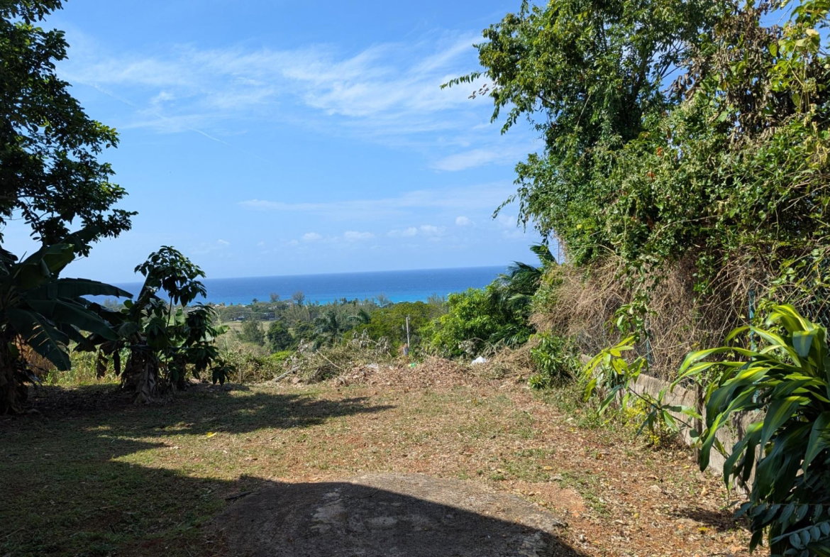 Eleventh image of b- Cardiff Hall in Runaway Bay, St. Ann, Jamaica - property is For Rent