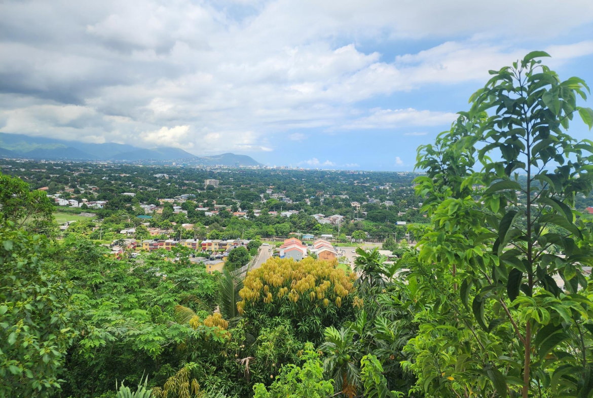 Ninth image of Catherine Drive in Kingston 19, St. Andrew, Jamaica - property is For Rent
